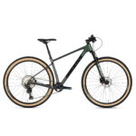 Bicicleta Groove Rhythm 9 12V UDH Carbon