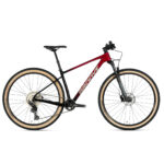 Bicicleta Groove Rhythm 7 Carbon 12v UDH